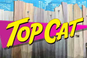 Top Cat