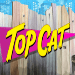 Top Cat