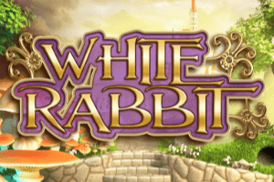 White Rabbit
