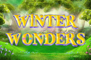 Winter Wonders
