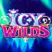 Icy Wilds