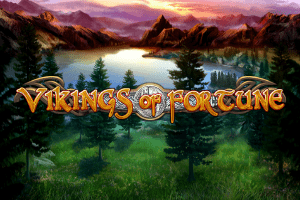 Vikings Of Fortune