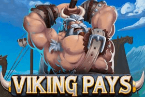 Viking Pays